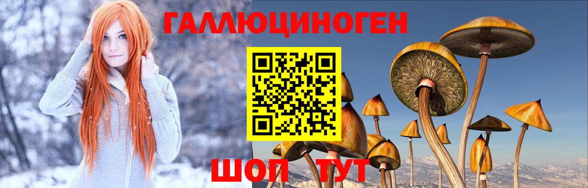 Галлюциногенные грибы прущие грибы  Вход с VPN  Галлюциногенные грибы Psilocybe  Дубна 