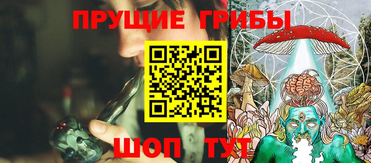 Галлюциногенные грибы Cubensis Дубна